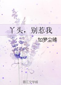 《丫头,别惹我》