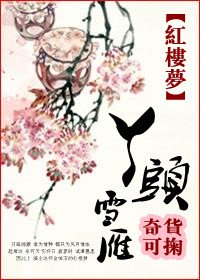 《(红楼同人/BG)红楼之丫头雪雁》