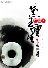 《(BG/红楼同人)黛玉重生》
