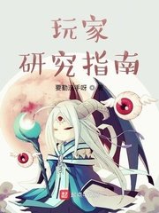 《玩家研究指南》