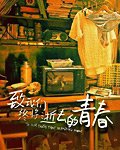 《致我们终将逝去的青春》