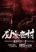 《龙家老村》