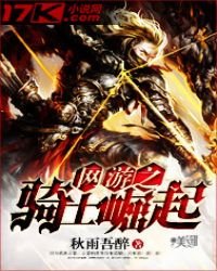 《网游之骑士崛起》
