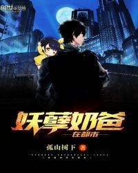 《妖孽奶爸在都市》