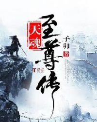 《天魂至尊传》