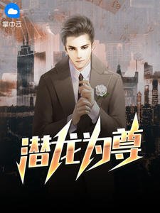 《陈庆之苏晚盈》