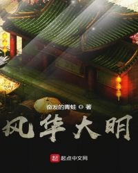 《风华大明》