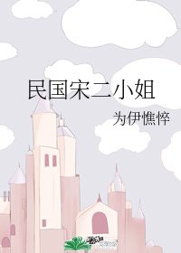 《民国宋二小姐》