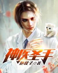 《神医圣手》