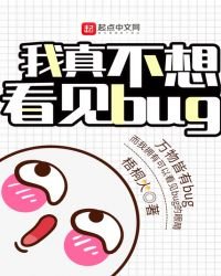 《我真不想看见bug》