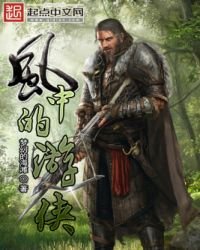 《风中的游侠》