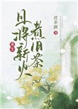 《且将新火煮旧茶(重生)》