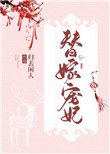《替嫁宠妃(替嫁后夫君篡位了)》
