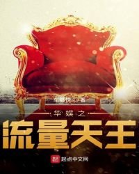 《华娱之流量天王》