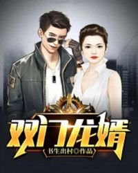 《双门龙婿》
