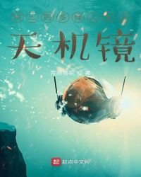 《特工的多样人生之天机镜》