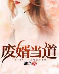 《废婿当道》