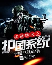 《抗战烽火之护国系统》