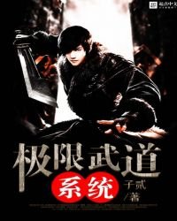 《极限武道系统》