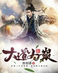 《大道为巅》