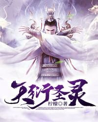《天衍圣灵》