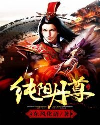 《纯阳丹尊》