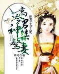 《逆袭太子妃:高冷男神桀骜妻》