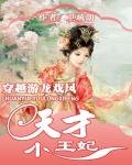 《穿越游龙戏凤:天才小王妃》