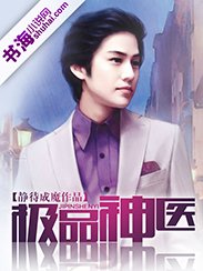 《极品神医》