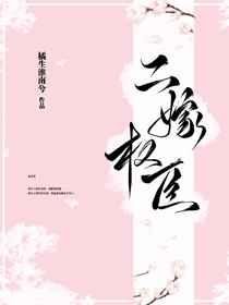 《二嫁权臣》