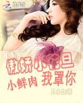 《傲娇小花旦:小鲜肉,我罩你》