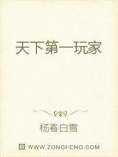 《极品大玩家》