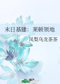 末日基建：莱顿领地
