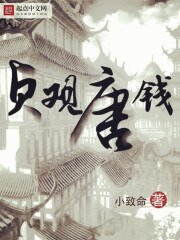 《贞观唐钱》