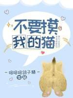 《不要摸我的猫》