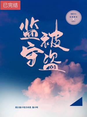 《监守被盗》