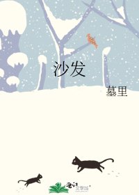 《沙发》