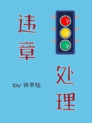 《违章处理》