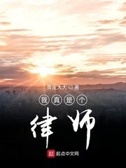 《我真是个律师》