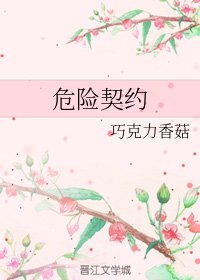 《危险契约》