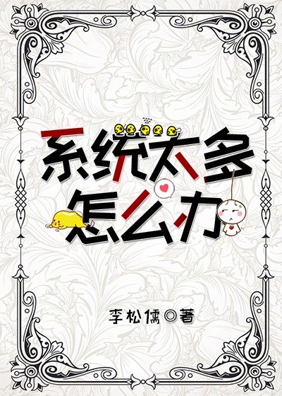 《系统太多怎么办》