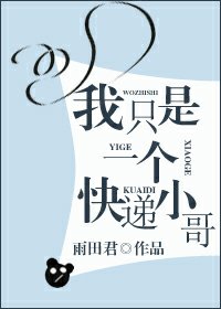 《我只是一个快递小哥》