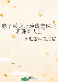 《(赤子乘龙同人)赤子乘龙之玲珑宝珠(明珠同人)》