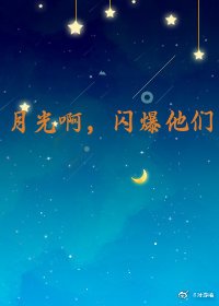 《月光啊,闪爆他们》