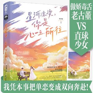 《星河滚烫,你是心之所往(出书版)》