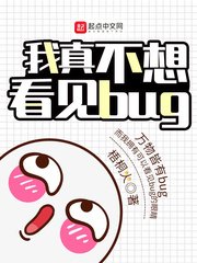 《我真不想看见bug》