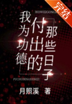 《我为功德付出的那些日子》