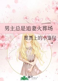 《男主总是追妻火葬场》