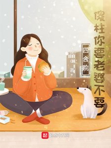 《四合院傻柱你要老婆不要》