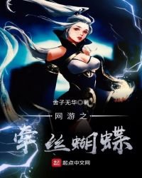 《网游之牵丝蝴蝶》